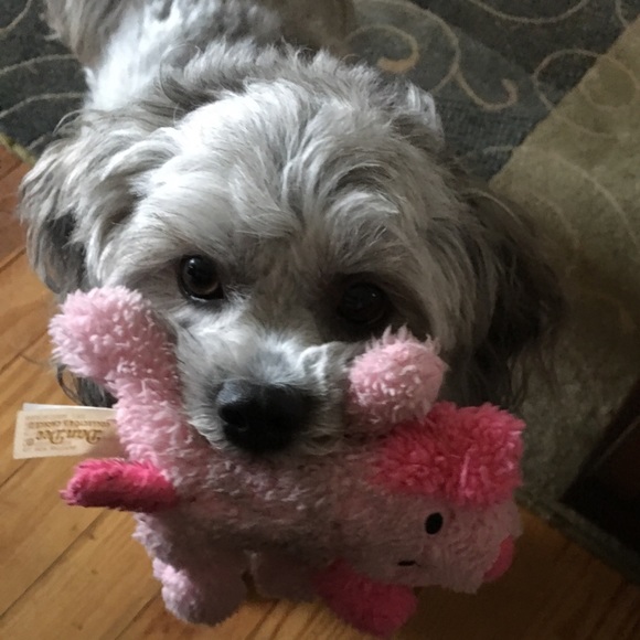 Meet your Posher, Kim - Picture 5 of 6